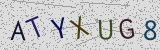 Défi visuel du captcha