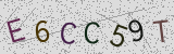 Défi visuel du captcha