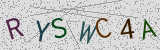 Défi visuel du captcha