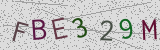 Défi visuel du captcha
