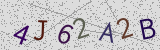 Défi visuel du captcha
