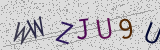 Défi visuel du captcha