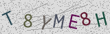 Défi visuel du captcha