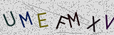 Défi visuel du captcha