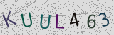 Défi visuel du captcha