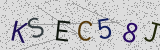 Défi visuel du captcha